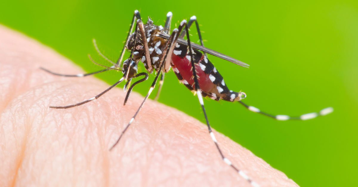Prefeitura de Cordeirópolis realiza nebulização contra dengue nos bairros