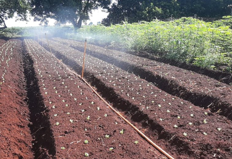 Prefeitura exclui agricultores locais e entrega fornecimento de alimentos a empresa de fora