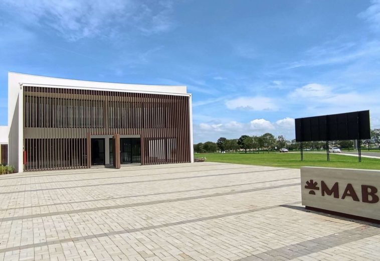 Museu de Arqueologia Bíblica em Engenheiro Coelho: um mergulho vivo na história bíblica, pertinho de Cordeirópolis