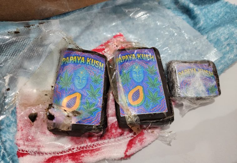 Funcionária é suspeita de usar empresa como fachada para receber drogas em Limeira