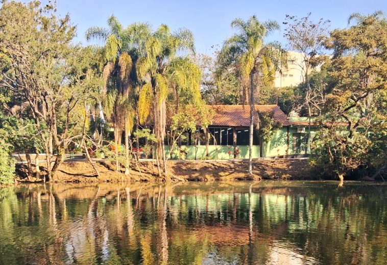 Já conhece o Bosque de Leme? O Parque Ecológico Mourão é um convite à natureza e à história
