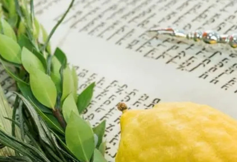 Hoje inicia Sucot: a Festa dos Tabernáculos