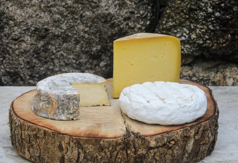 Rotas do queijo de São Paulo: o novo tesouro gastronômico do interior