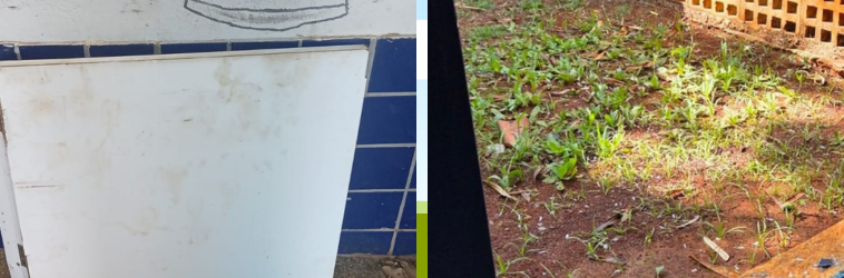 Vândalos invadem creche e deixam rastro de destruição no São Francisco