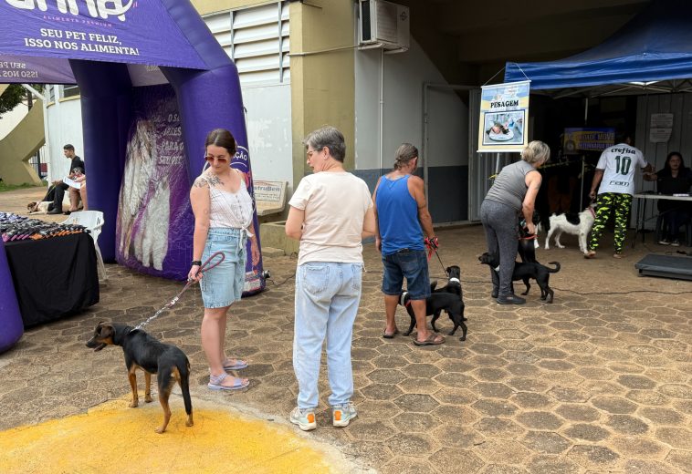 Cordeirópolis recebe novo mutirão de castração gratuita em fevereiro