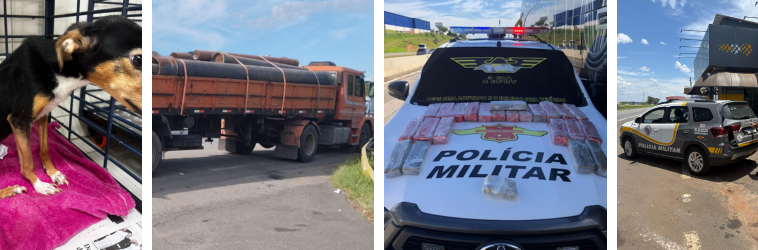 Fim de semana policial expõe tráfico, foragidos, armas e violência doméstica em várias cidades da região