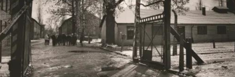 Memória do Holocausto: por que essa data ainda faz o mundo parar