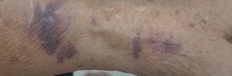 Dia das Mães marcado por violência: filhos são presos após agressões contra as próprias mães em Rio Claro