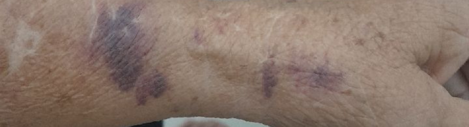 Dia das Mães marcado por violência: filhos são presos após agressões contra as próprias mães em Rio Claro